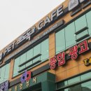 뽀도독 애견카페 이미지