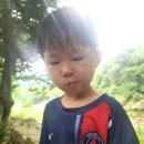 정든민박 | “정든 캠핑장에서 즐기는 여름 계곡 캠핑! 물놀이·차박·먹방까지 완벽했던 힐링 여행”