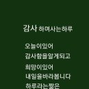 해피데이