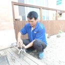 솔비 농장 이미지