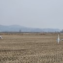 경기둘레길 김포3코스 이미지