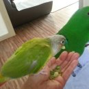 사온누리 이미지