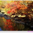 남원유도관 이미지