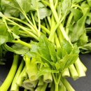 귀순농장 이미지