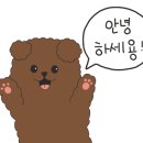 파리바게트 세곡지구점 이미지