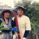 신화농장 충청신문