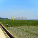 구하리농장 이미지