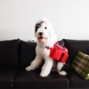 김포스포츠