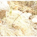 (주)건영이앤씨 이미지