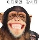 서울이스케이프룸대구