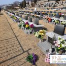 한울장묘 - 용인시 기흥구 금화로108번길 7 | 한울장묘