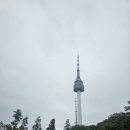 남산정육점 | 2025. 10. 11. 토. 유진라이브 디톡스 하우스 <숲 해설가와 함께 걷는 남산> 후기
