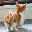 제니모텔 이미지