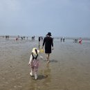 건강을나르는사람들 - 수원시 팔달구 팔달문로163번길 57 | 인천 무의도 하나개해수욕장 아이와 갯벌체험 후기