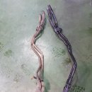 그랜드자동차정비 이미지