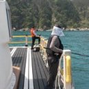 동삼동 어촌체험마을 이미지