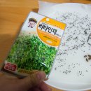 미경상회 네이버블로그