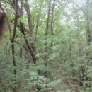 삼봉1리 마을회관 이미지