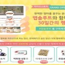 엡솔루트 이미지