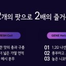 시가케이 이미지