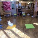 행복한개 이미지