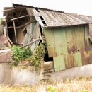 동방정미소 이미지