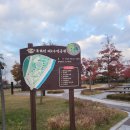 복하천 체육공원 야구장 이미지