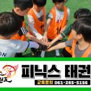 피닉스태권도장 이미지