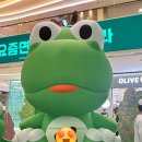 이천제이농장 | 아이와 놀거리 / 농장체험 / 갈곳/ 전국 200가지 이상 모음