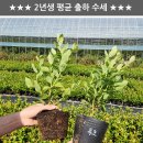 남부농자재 Daum카페