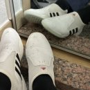 일대 풍호 태권도장 이미지