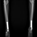 아이튼튼 동물병원 이미지