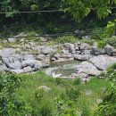 숲속 황토방 펜션 이미지