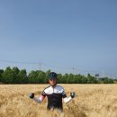 오남저수지 이미지