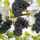 아산시립송곡도서관 이미지