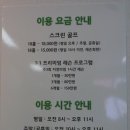 Ace골프스크린 이미지