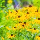 부천중앙공원 이미지