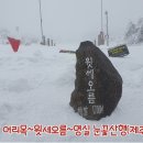 제주 한라산 어리목~윗세오름~영실 눈꽃산행(제주산행 1일차) 이미지