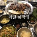 하단동1144 이미지