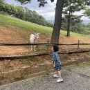 도윤목장 이미지