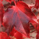 소사로700번길 이미지