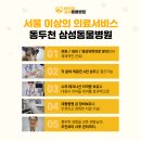 양구동물병원 이미지