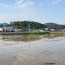 사등마을 이미지