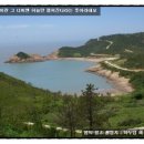 비금 이미지