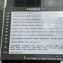 헤어망고플러스