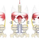 제이엘피트니스 다대점 이미지