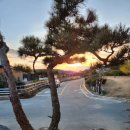 진도한옥목향민박 이미지