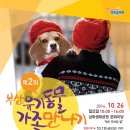 동부산동물병원 네이버블로그