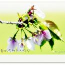 인동중학교 이미지