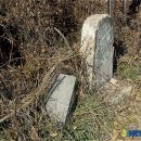 삼호리경로당 뉴시스